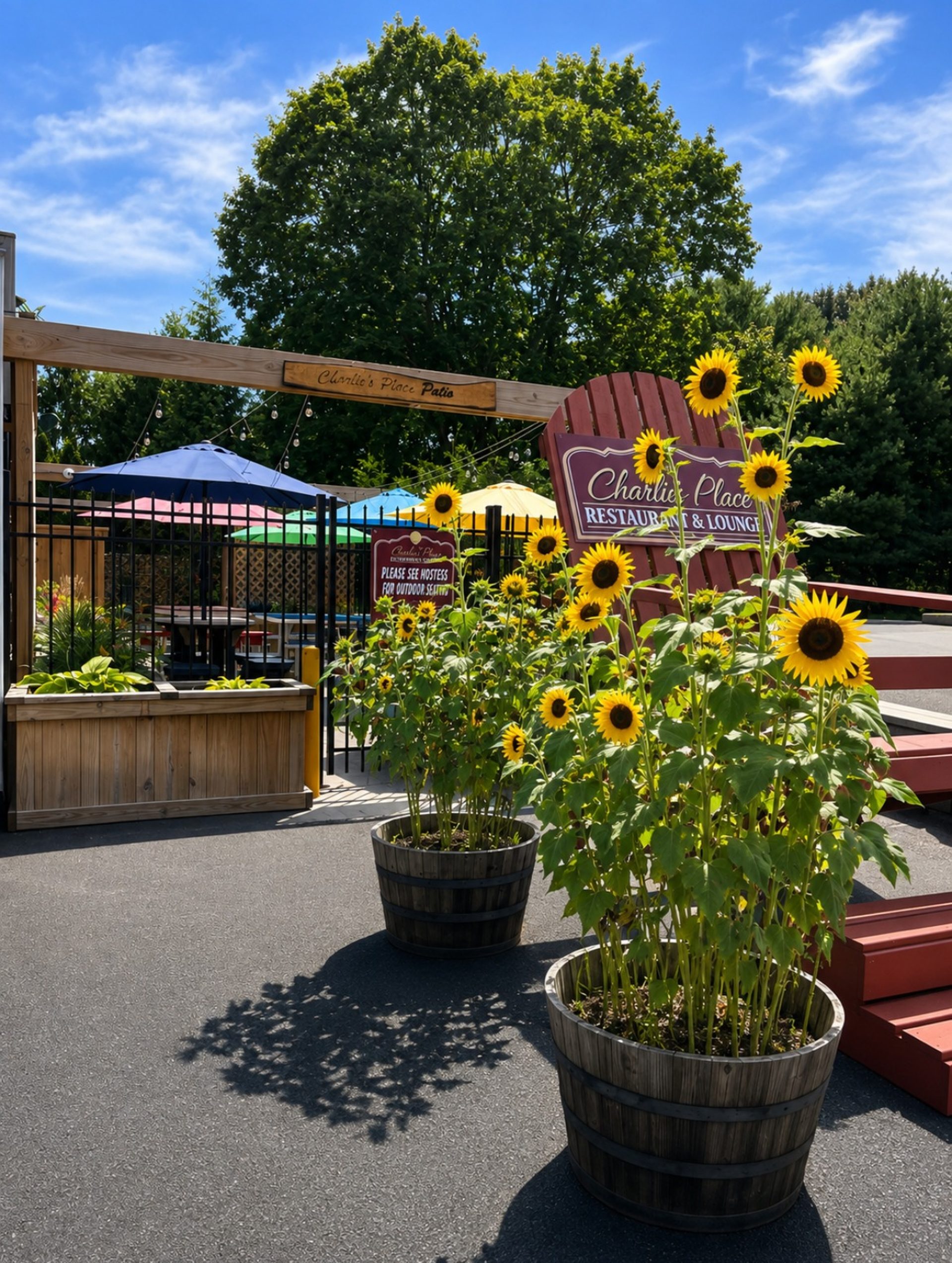 Catering and our outdoor patio
